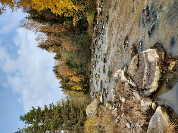 Koskenpäänkoski Marttilassa