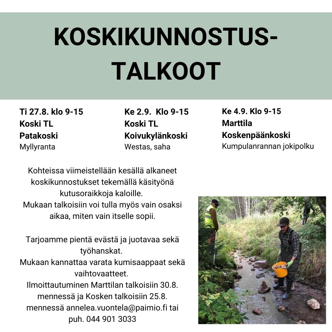 Koskikunnostustalkoot Paimionjoella