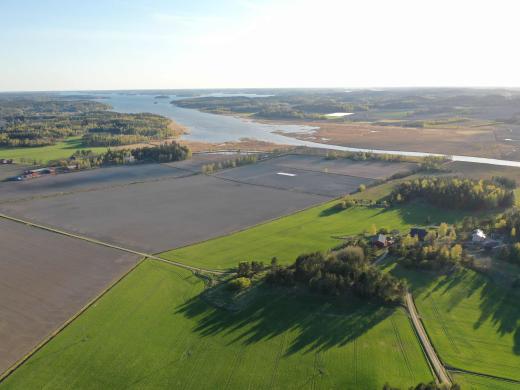 alava pelto, kevät, Paimionlahti